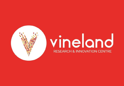 A red background with the word vineland in white.